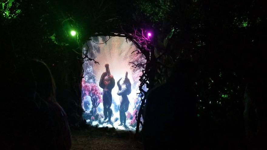 A projected portal glowing between trees at night